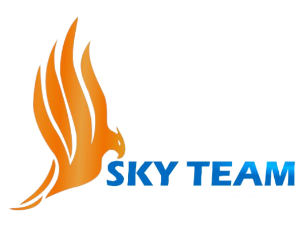 Sky Team Logo